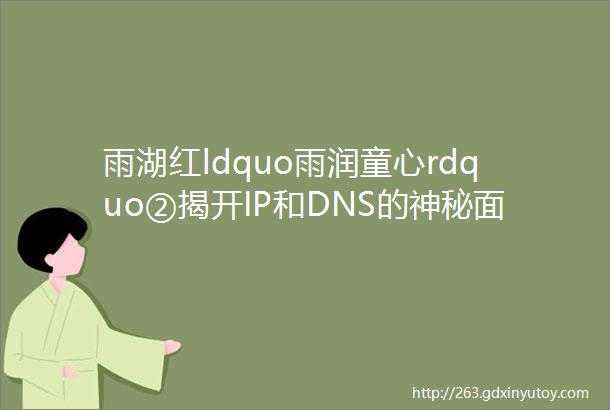 雨湖红ldquo雨润童心rdquo②揭开IP和DNS的神秘面纱
