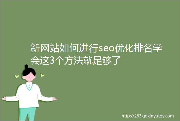 新网站如何进行seo优化排名学会这3个方法就足够了