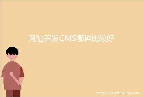 网站开发CMS哪种比较好