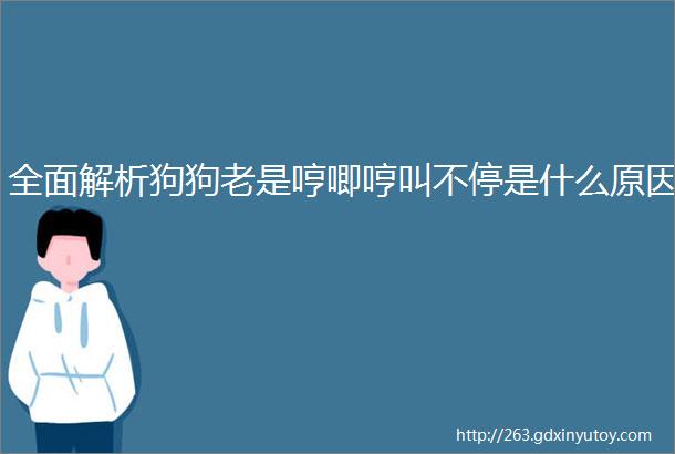 全面解析狗狗老是哼唧哼叫不停是什么原因