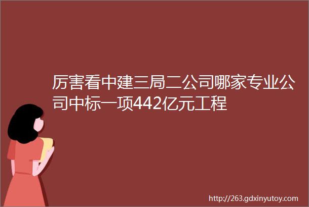 厉害看中建三局二公司哪家专业公司中标一项442亿元工程